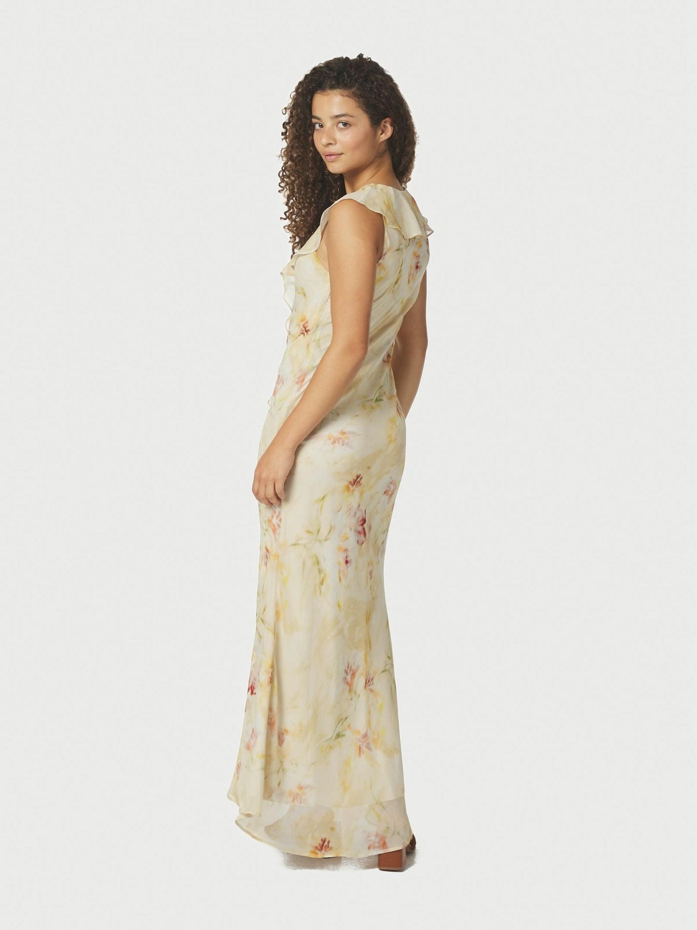 ZELLA CHIFFON PRINT DRESS